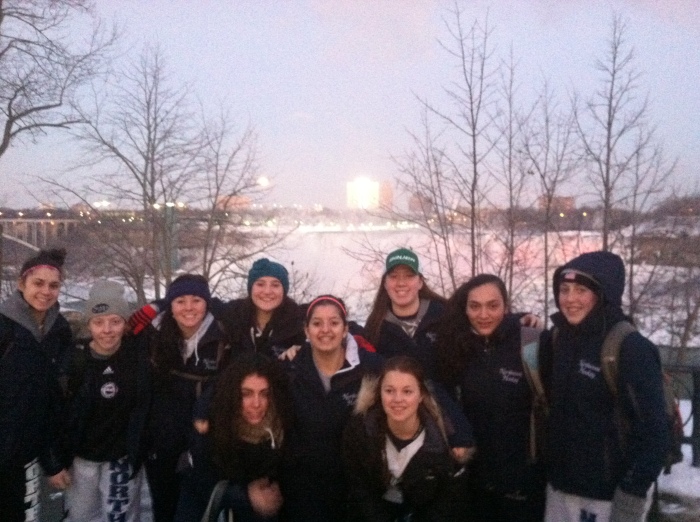 Some Huskies with the American Falls in the background